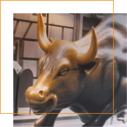 stier home-8