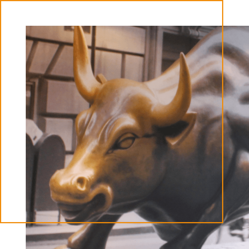 stier home@2x-8
